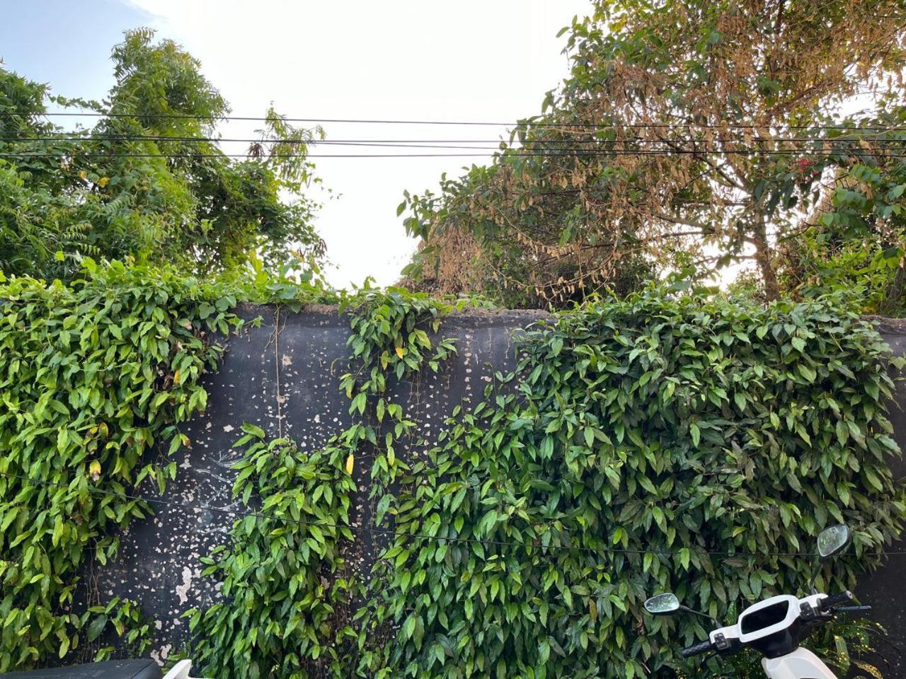 Nirman Homestay 5 Minutes Walk To Beach Purî Extérieur photo