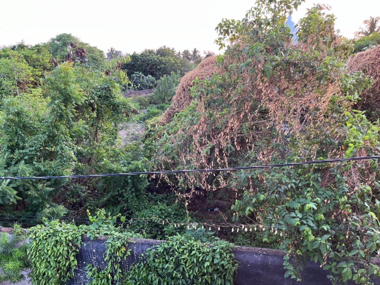 Nirman Homestay 5 Minutes Walk To Beach Purî Extérieur photo
